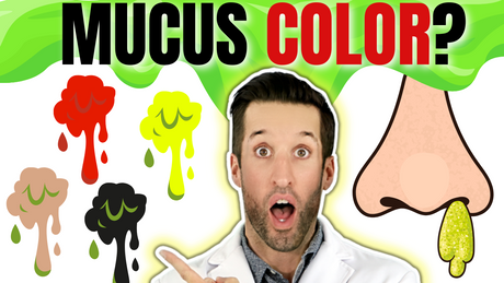 SNOT 101: What Your Snot Color Says About Your Health!