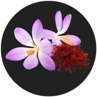 Life Happns Chillax Stress Support Supplement Saffron