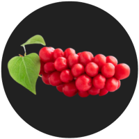 Life Happns Pour Decisions Alcohol Metabolism Supplement Schisandra