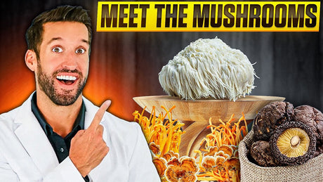 Discover the Top 10 Healthiest Mushrooms!