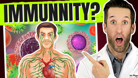 Secrets to Naturally Boost Your Immune System